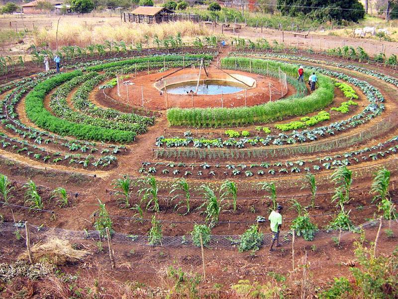 Permaculture